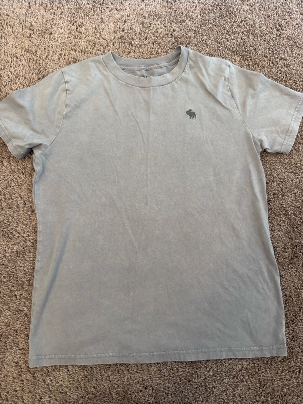 Boys Abercrombie Kids Tee
